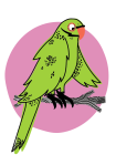 The Parakeet logo: a fun line-drawn cartoon of a green parrotty bird on a pink circle